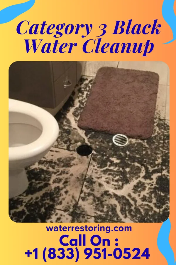 Category 3 Black Water Cleanup in Laurel Hollow, NY