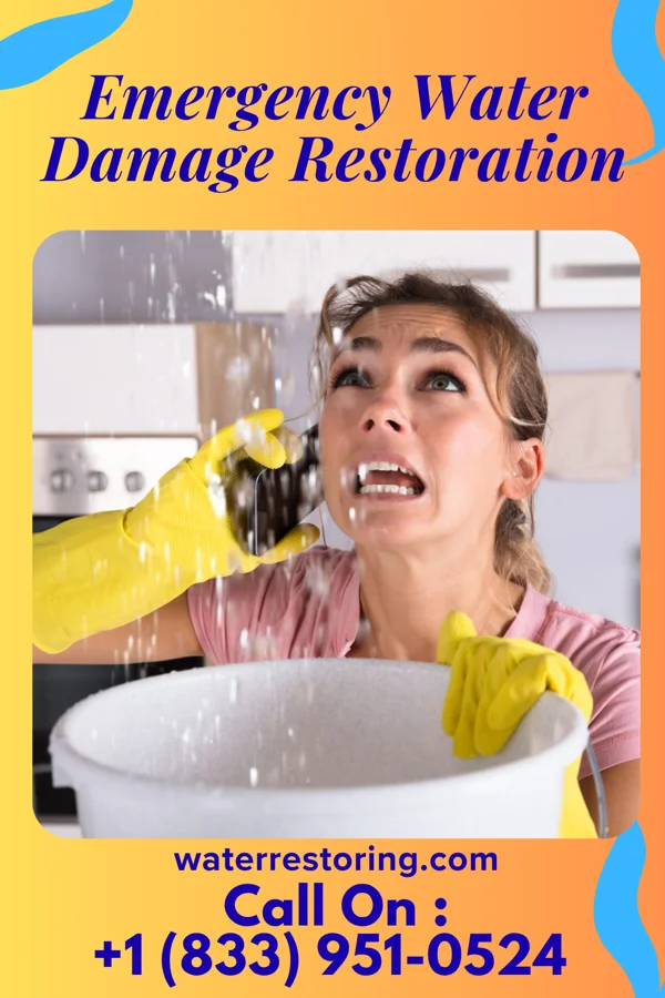 Emergency Water Damage Restoration in Laurel Hollow, NY