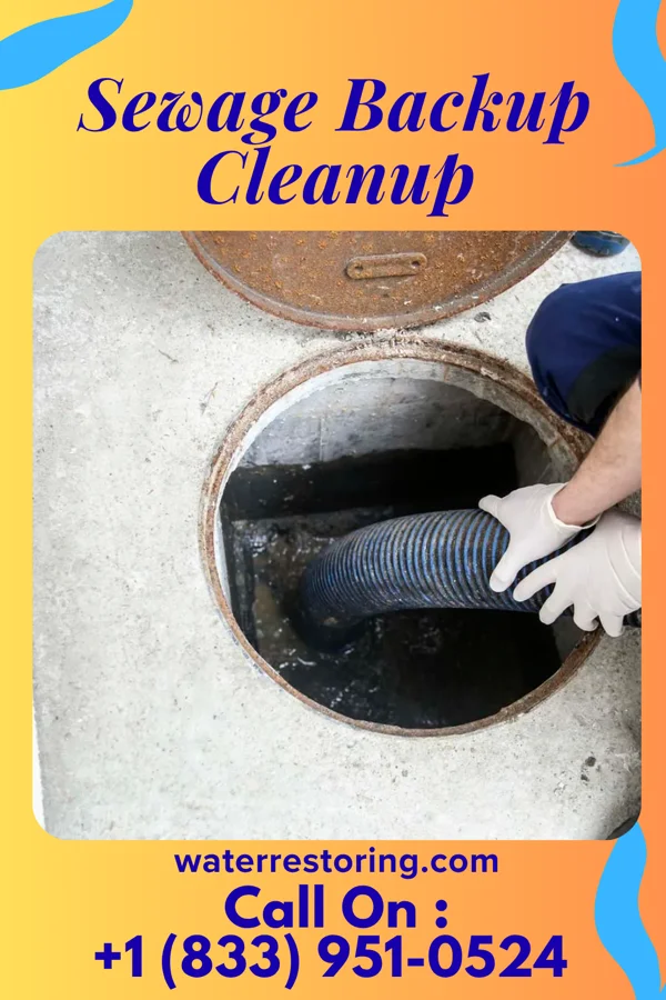Sewage Backup Cleanup in Laurel Hollow, NY