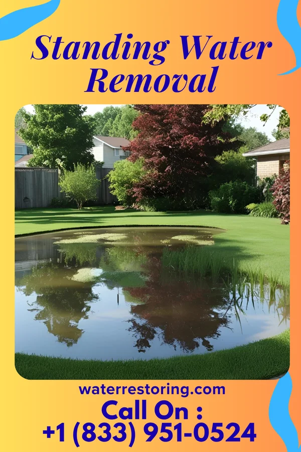 Standing Water Removal in Laurel Hollow, NY